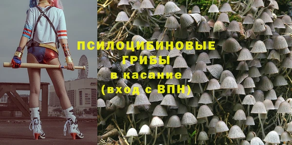 a pvp Сафоново